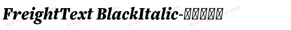 FreightText BlackItalic字体转换
